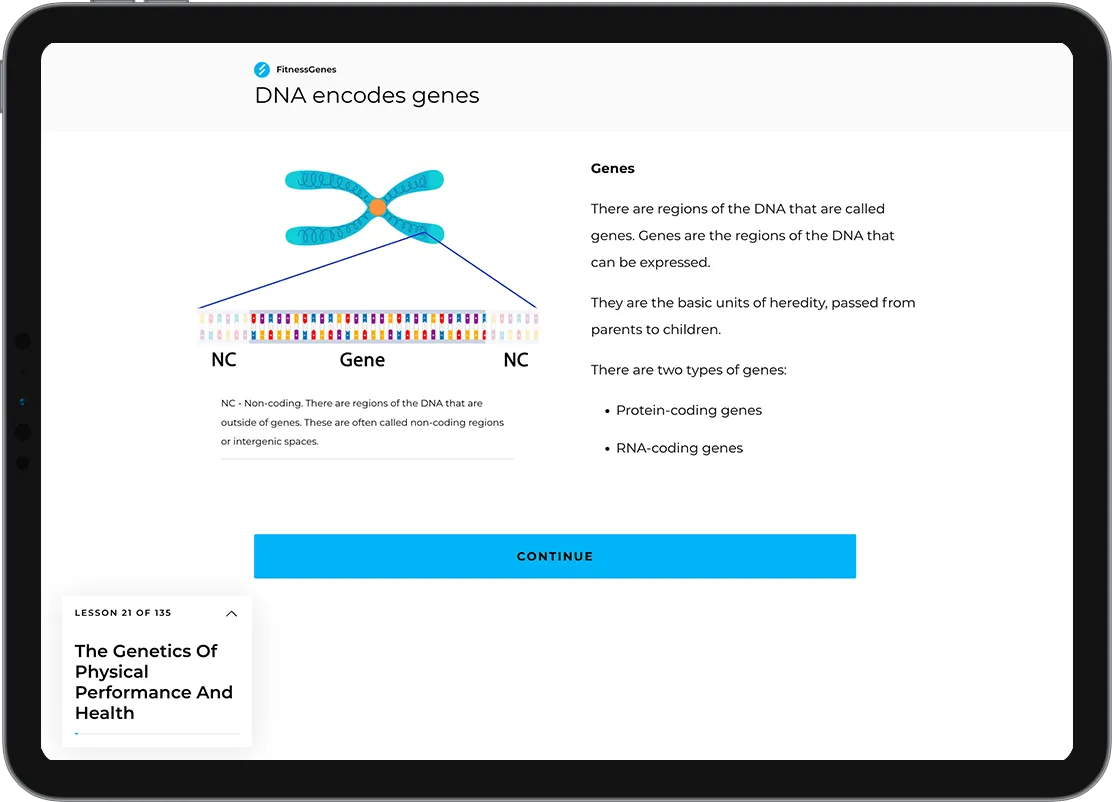 Modulo 1: Dal DNA a te: le basi