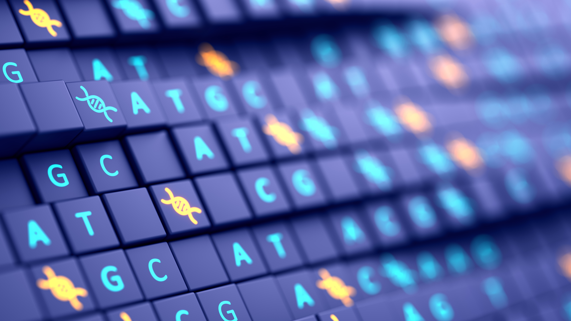 Accesso diretto ai dati dei clienti